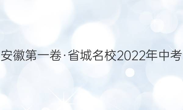 皖智教育 安徽第一卷·省城名校2022年中考最后三模(二)2化学答案