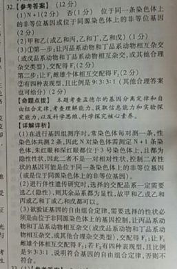 image.png@!test