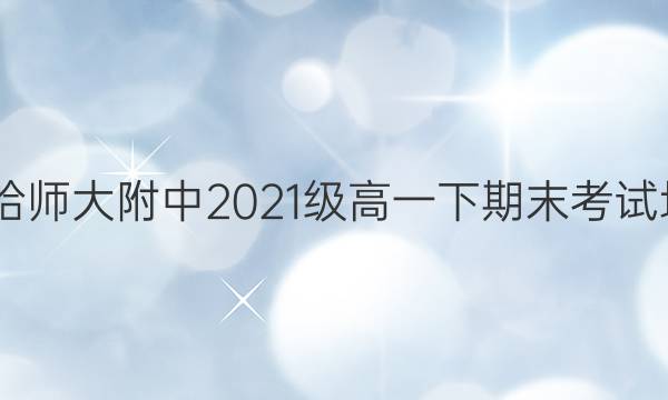 2022年哈师大附中2021级高一下期末考试地理答案