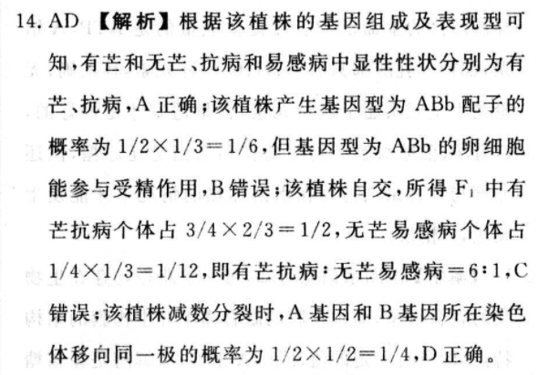image.png@!test
