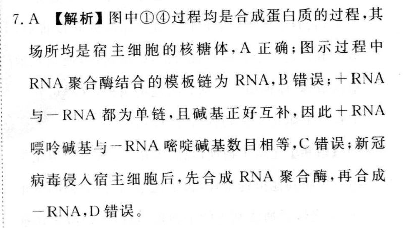 衡水金卷先享题2022-2023高三一轮复习40分钟周测卷(重庆专版)十七生物试题答案图片