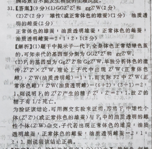 image.png@!test