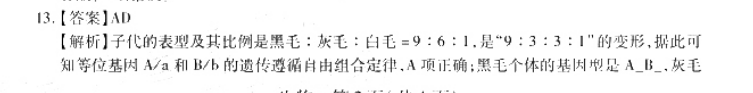 image.png@!test