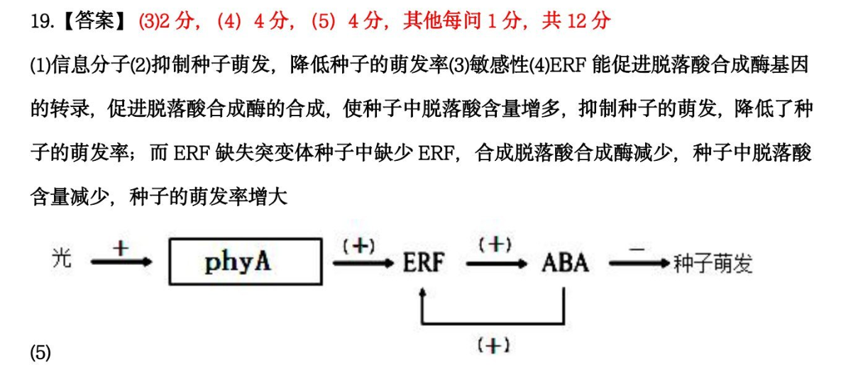 英语周报2022-2023学年高考版第28期答案图片