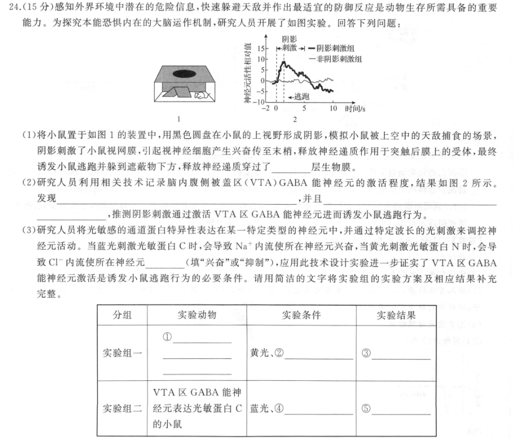 image.png@!test