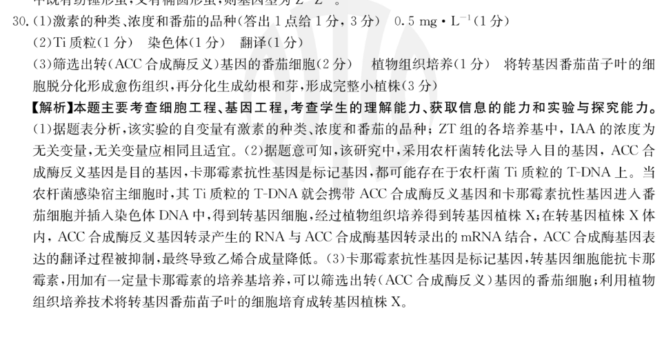 image.png@!test