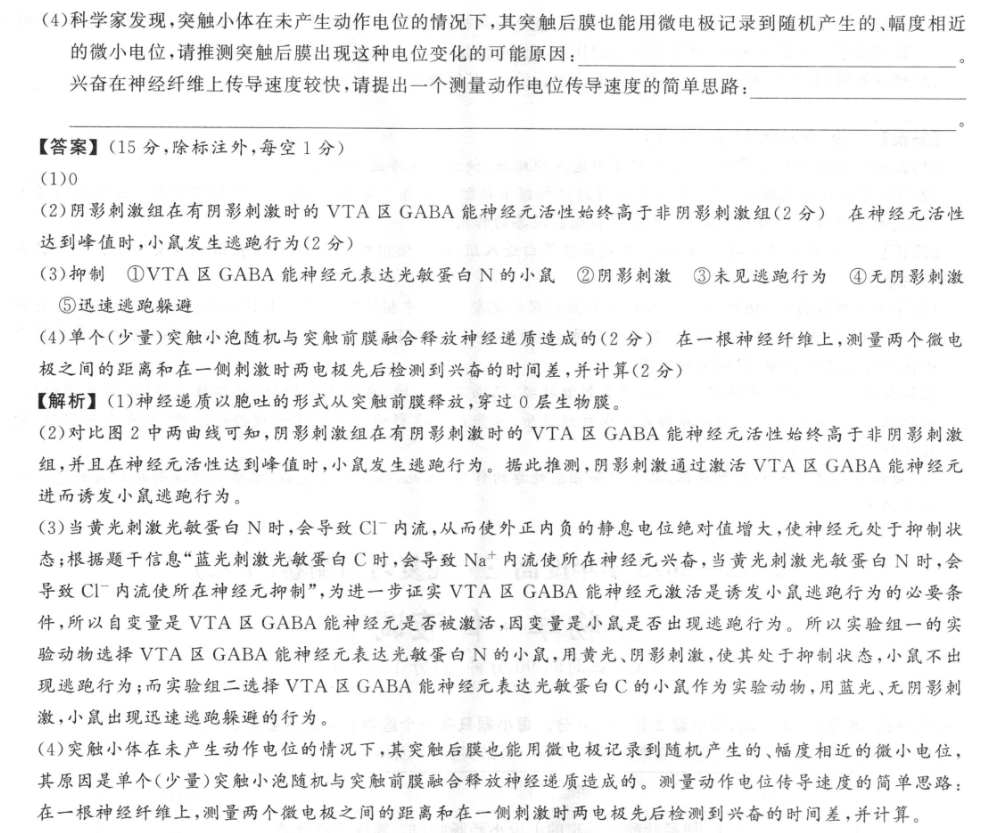 image.png@!test