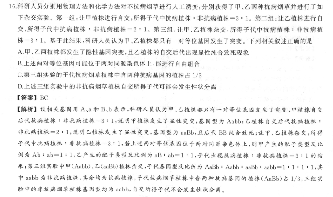 image.png@!test