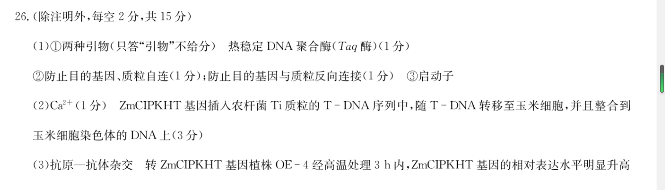 image.png@!test