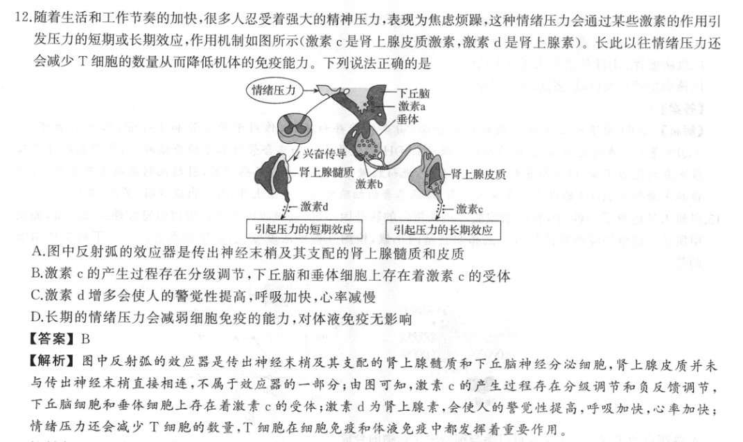 image.png@!test