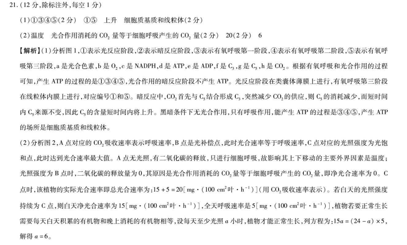 image.png@!test