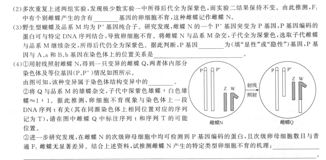 image.png@!test
