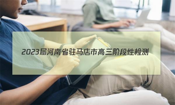 2023届河南省驻马店市高三阶段性检测(23-105C)政治试题答案图片