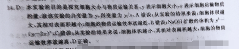 2023届贵州省高三联合考试(23-97C)语文试题答案图片