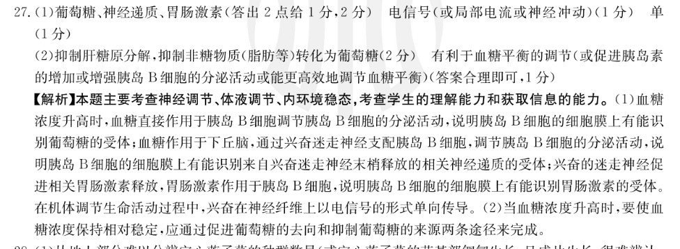 image.png@!test