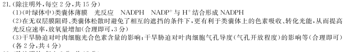 2023衡水金卷先享题·分科综合卷 新教材文数 答案图片