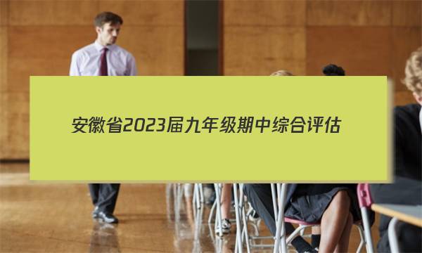 安徽省2023届九年级期中综合评估(2L)化学试题 答案
