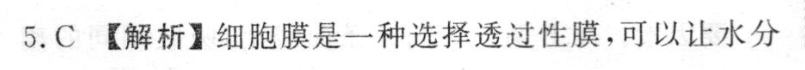 image.png@!test