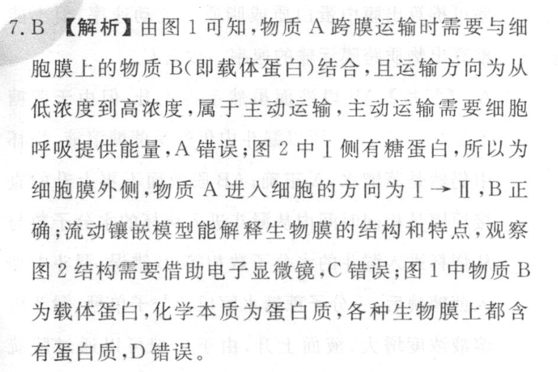 image.png@!test