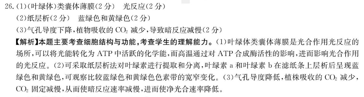 image.png@!test