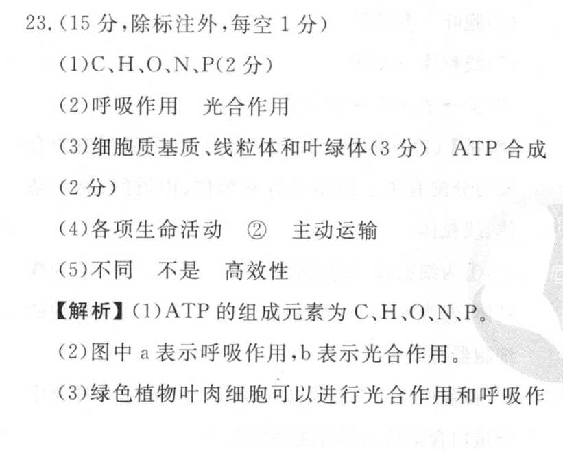 image.png@!test