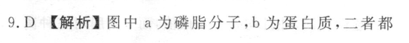 image.png@!test