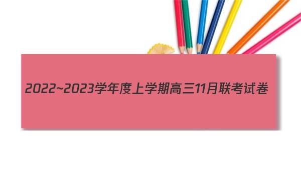 2022~2023学年度上学期高三11月联考试卷(233198D)政治答案图片