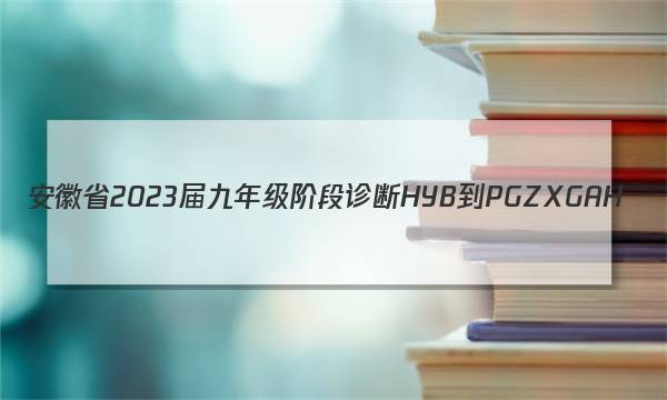 安徽省2023届九年级阶段诊断 HYB-PGZX G AH(三)3物理试题答案图片