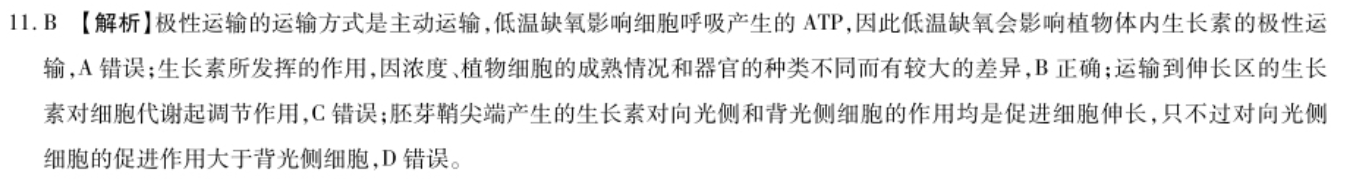 image.png@!test