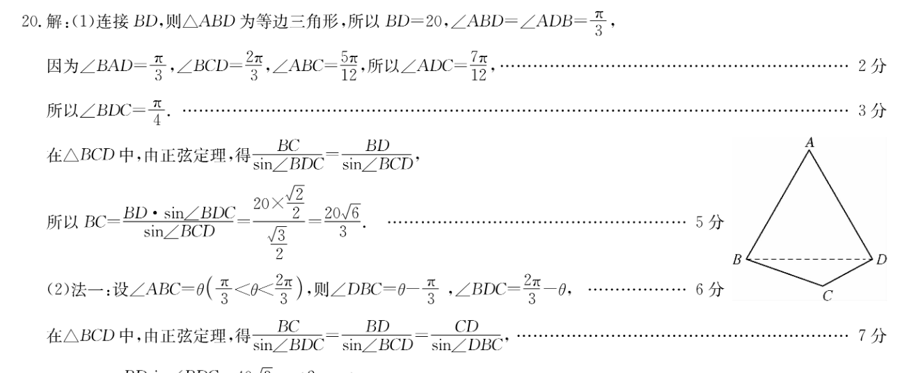 2023届普通高等学校招生全国统一考试 11月青桐鸣大联考(高三)生物试题答案图片