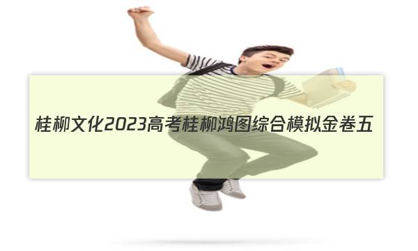 桂柳文化 2023高考桂柳鸿图综合模拟金卷五(5)数学 考卷答案图片