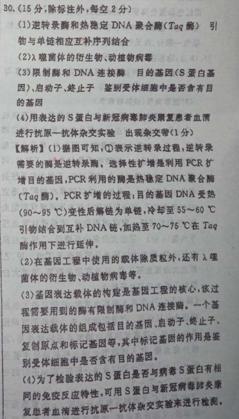 七年级外研版英语周报上册2022答案图片
