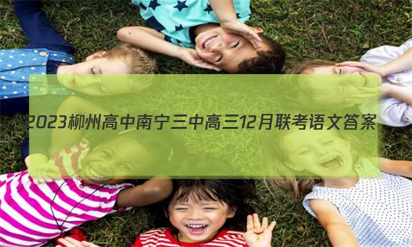 2023柳州高中南宁三中高三12月联考 语文答案