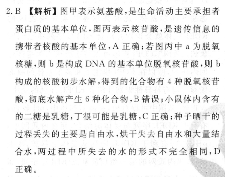高考快递 2023年普通高等学校招生全国统一考试·信息卷(一)1文科综合试题答案图片