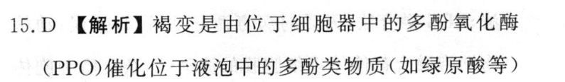 高考快递 2023年普通高等学校招生全国统一考试·信息卷(一)1英语答案图片