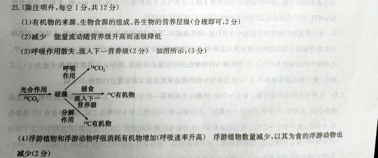 九师联盟 2022-2023学年高三12月质量检测化学X答案图片