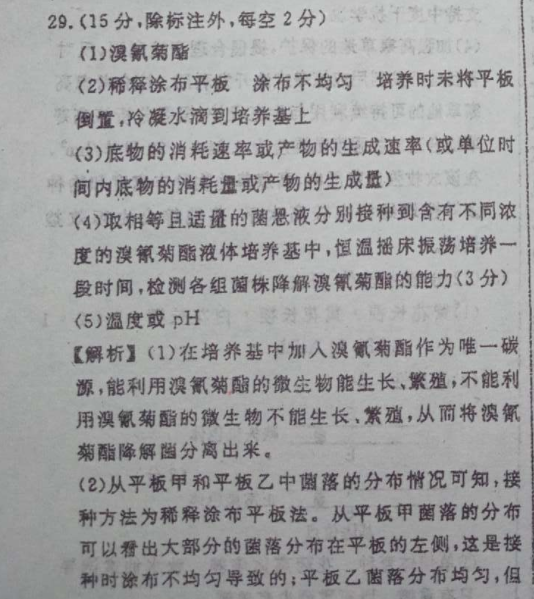 七年级外研版英语周报上册2022答案图片