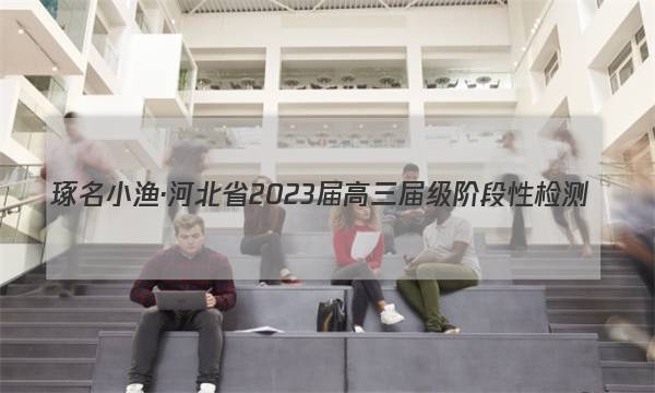 琢名小渔·河北省2023届高三届级阶段性检测(二)数学试题答案图片