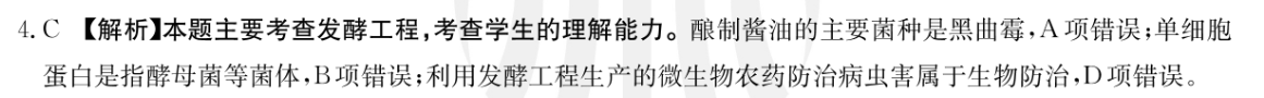 衡水金卷2022-2023上学期高二年级四调考试(新教材·月考卷)语文试题答案图片
