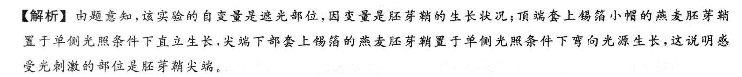 砺剑·2023相约高考 新高三培优卷(三)3英语答案图片