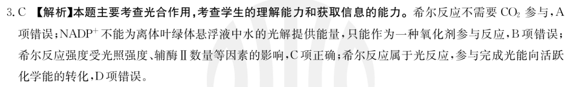 衡水金卷2022-2023上学期高二年级四调考试(新教材·月考卷)语文试题答案图片