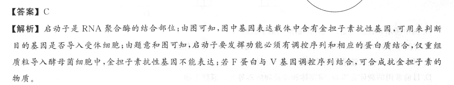 湖南省永州一中2023年高三元月大联考物理答案图片