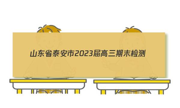 山东省泰安市2023届高三期末检测(233251D)物理试题答案图片