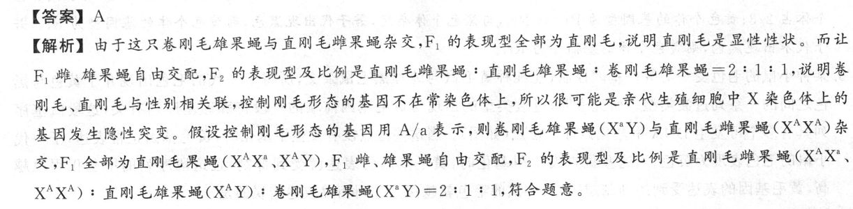 江淮名卷·2023年安徽省九年级开年考数学(沪科版)试题答案图片