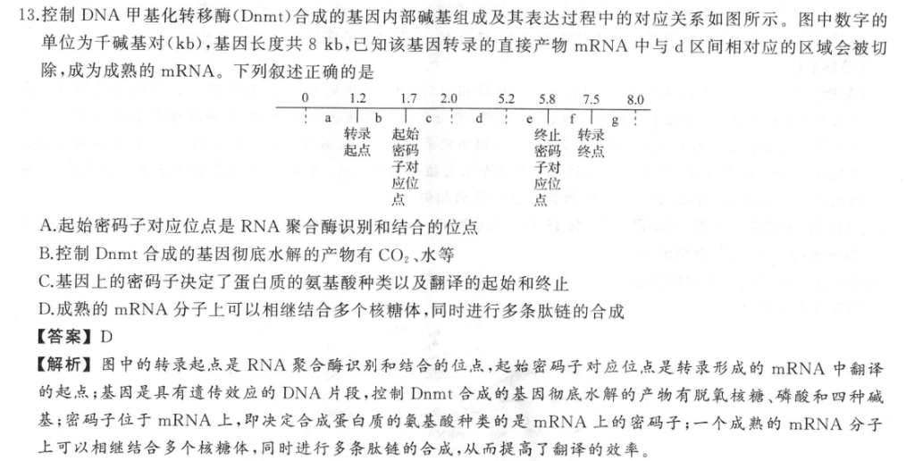 山东省泰安市2023届高三期末检测(233251D)物理试题答案图片