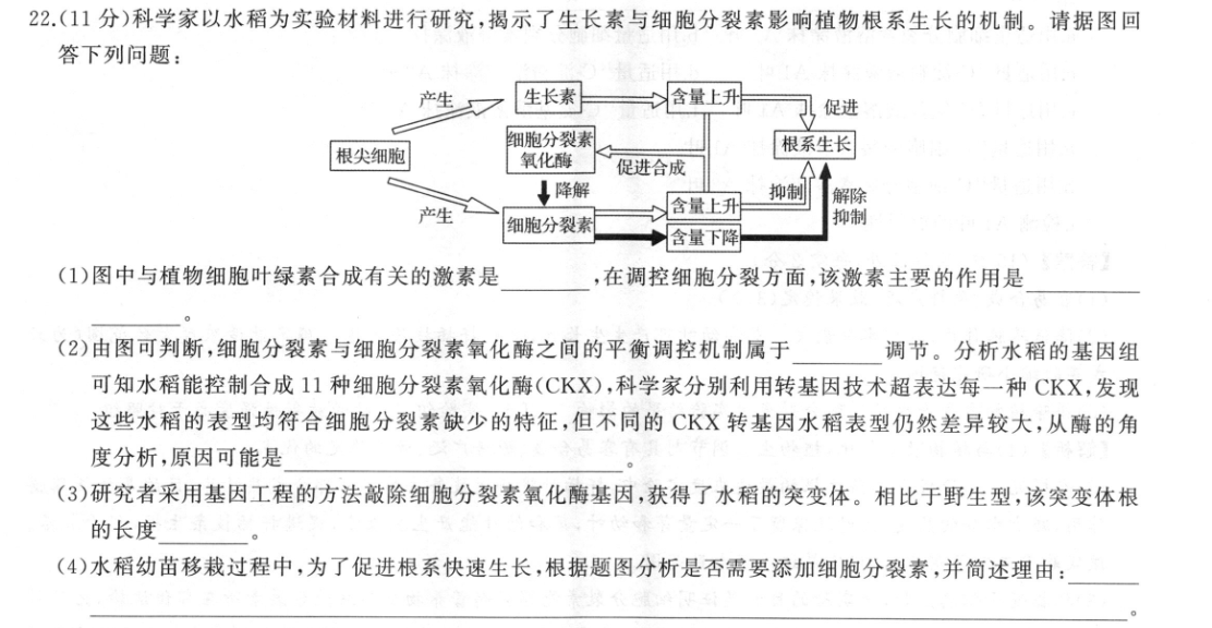 百师联盟 2023届高三开年摸底联考 辽宁卷地理答案图片