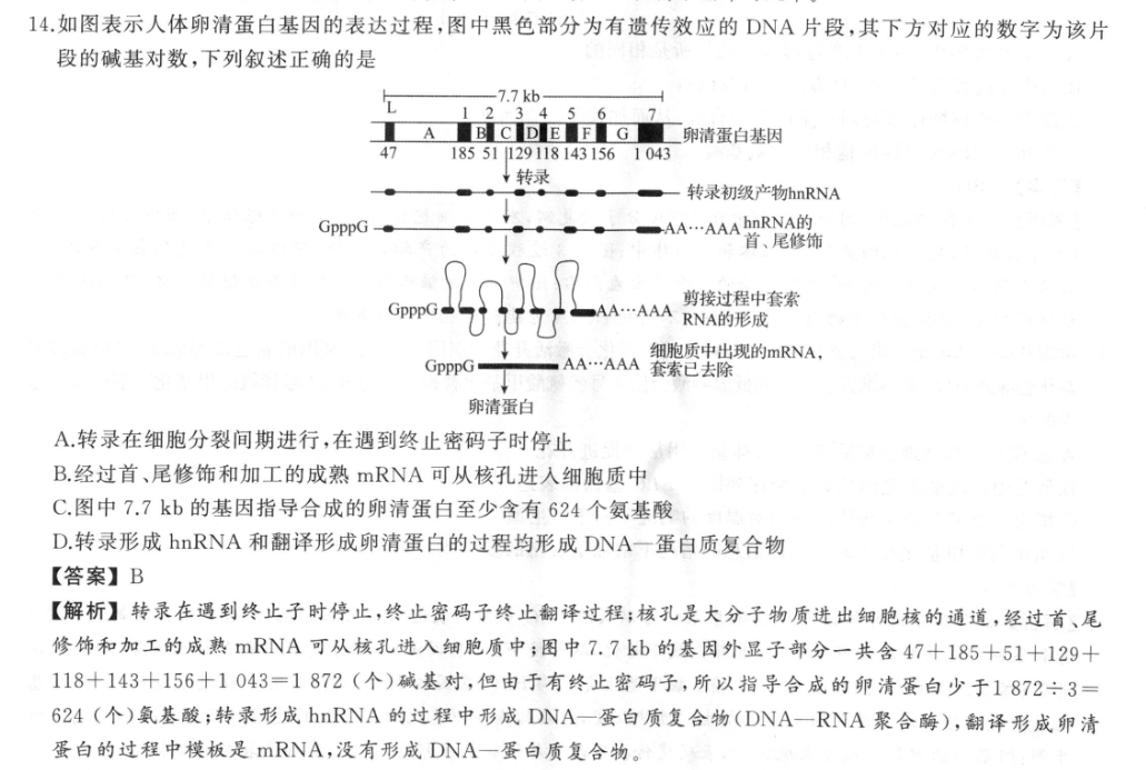 山东省泰安市2023届高三期末检测(233251D)物理试题答案图片