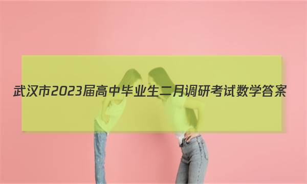武汉市2023届高中毕业生二月调研考试数学答案图片