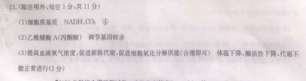 衡中同卷 2022-2023学年度下学期高三年级一调考试(新高考/新教材)数学答案图片