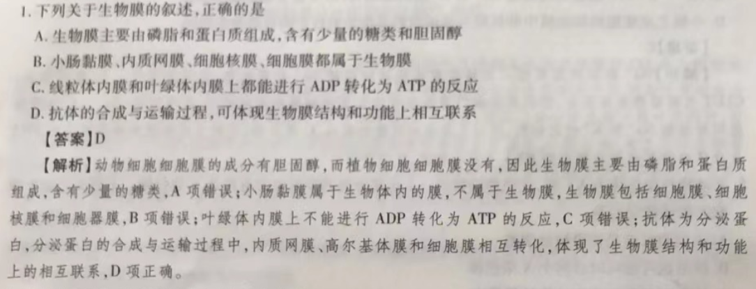 2023�㶫����һģӢ���Ծ� ��(������)ͼƬ